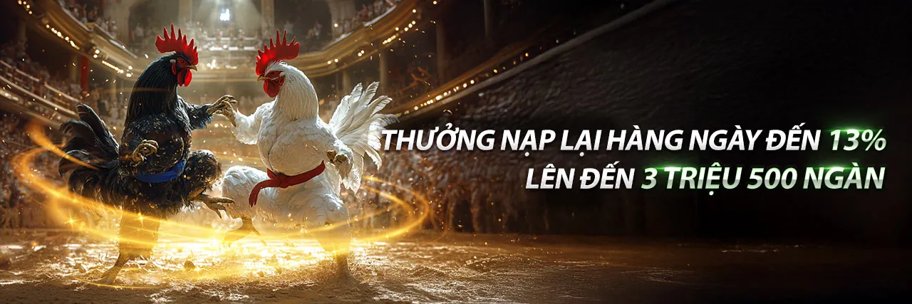 Đá gà trực tuyến 789b chính thức